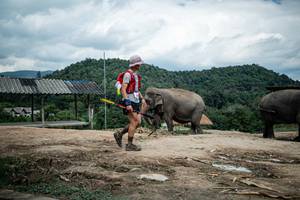 BIB: 
                            <button type="button" onclick="openModal(22423320)" class="btn btn-primary btn-sm float-right btn-popup" data-toggle="modal" data-target=".modal-high-quality">
                        <i class="fas fa-shopping-cart"></i> Add to Cart
                    </button>
                                            <button type="button" onclick="isThisMe(22423320, true)" class="btn btn-success btn-sm float-right btn-popup btn-isme hidden" data-toggle="tooltip" data-placement="bottom" title="นี่คือรูปของคุณใช่ไหม คลิกที่นี่เพื่อเอาเข้าอัลบั้ม">
                        <i class="fas fa-plus"></i> Add to album
                    </button>
                    <button type="button" onclick="isThisMe(22423320, false)" class="btn btn-warning btn-sm float-right btn-popup btn-isnotme hidden">
                        <i class="fas fa-ban"></i> Remove from album
                    </button>